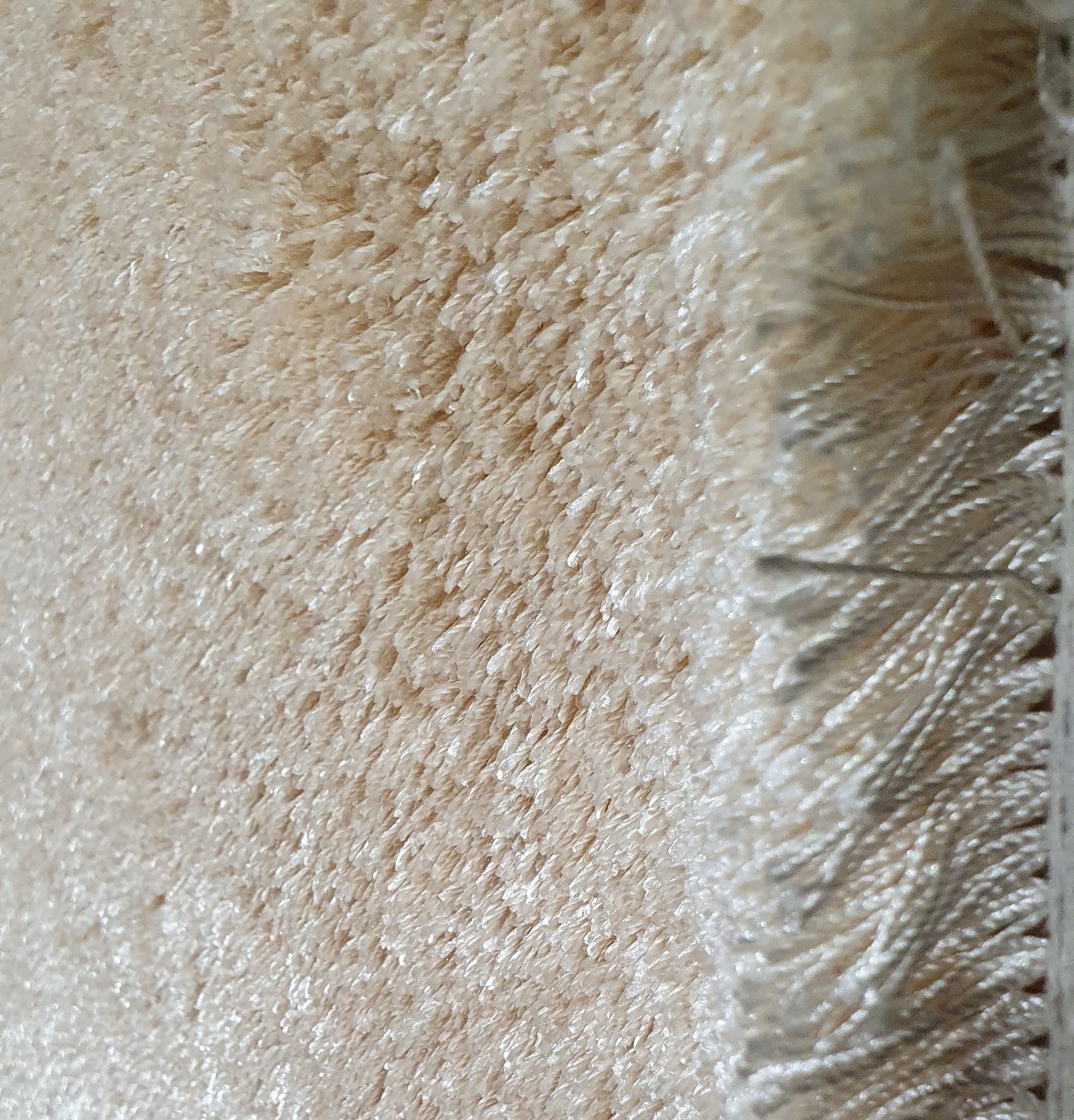 Curly KL 000 Beige
