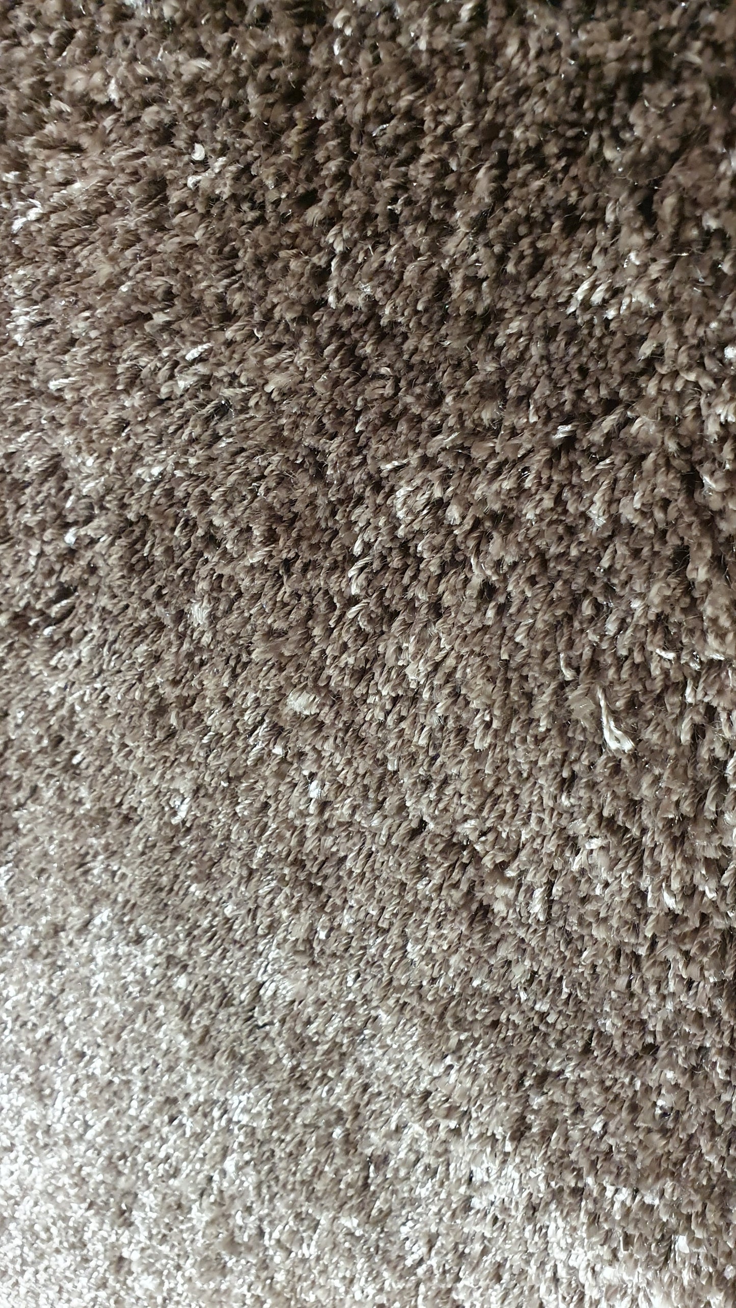 Curly S04 Dark Beige