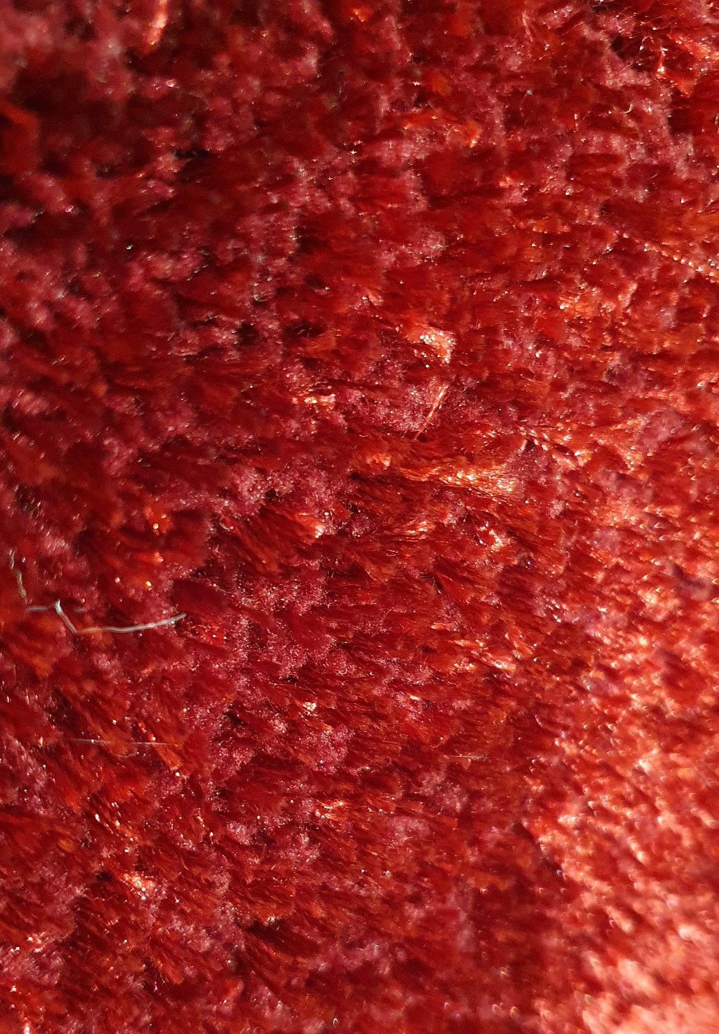 Vido Red