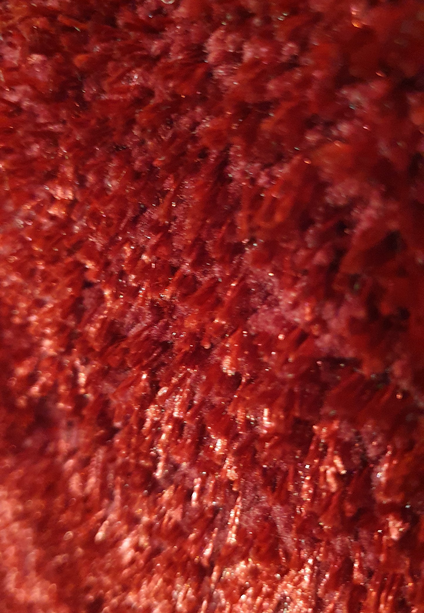 Vido Red