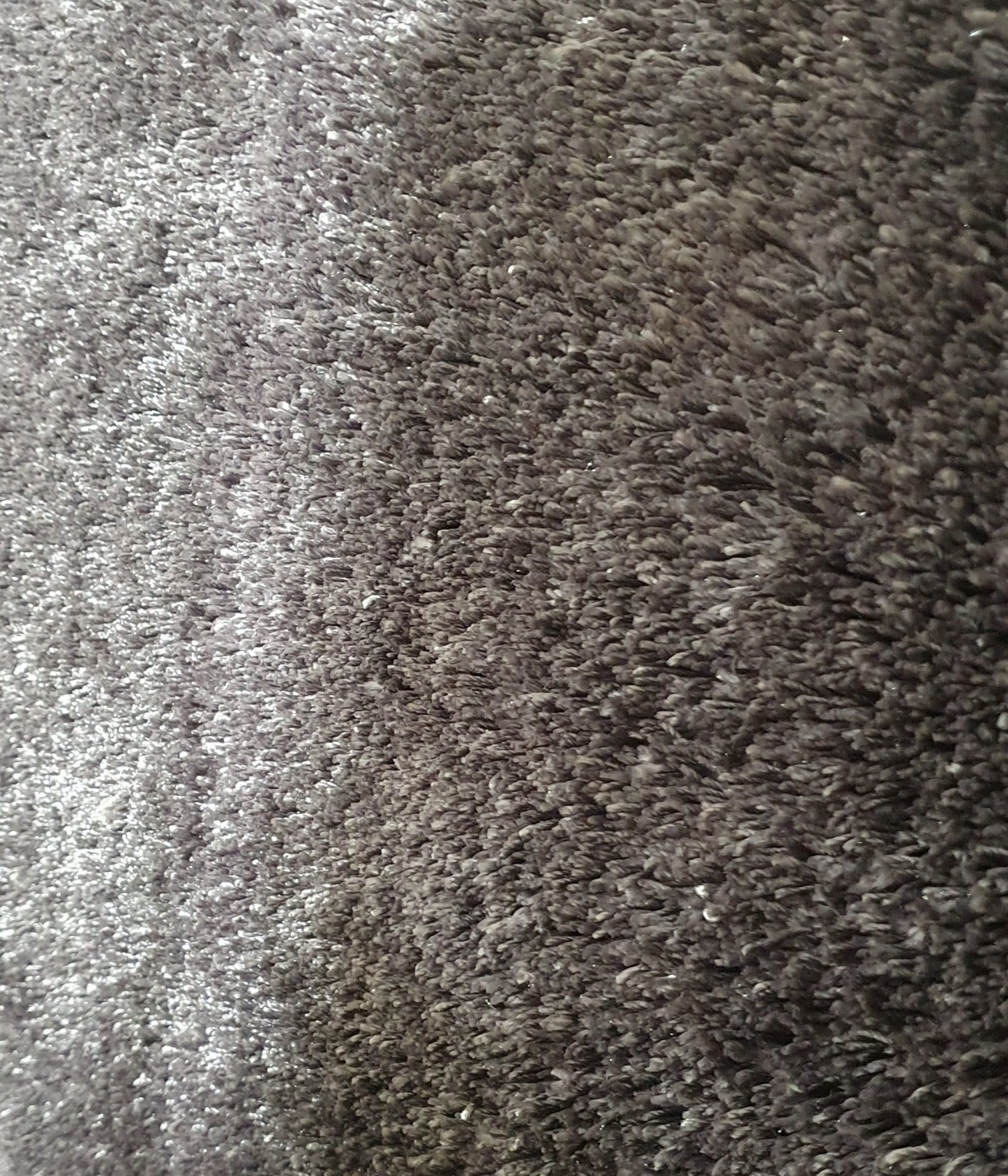 Curly S05 Grey