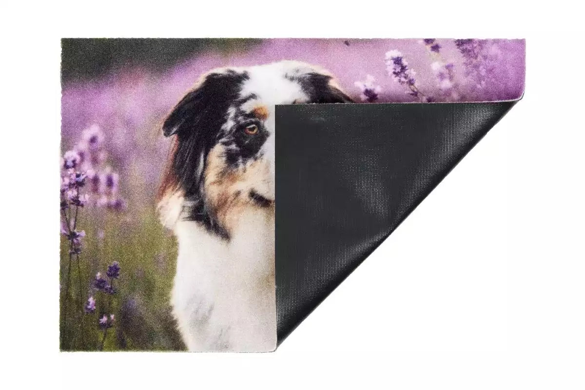 Deco Doggy 1698 105999 Lábtörlő 40 × 60 cm