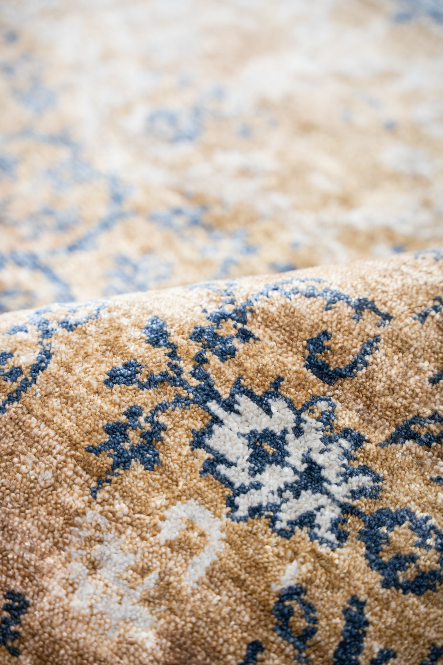 Queensland 4734 brown-blue