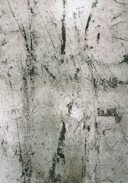Louis De Poortere SOL 9787 Alpine