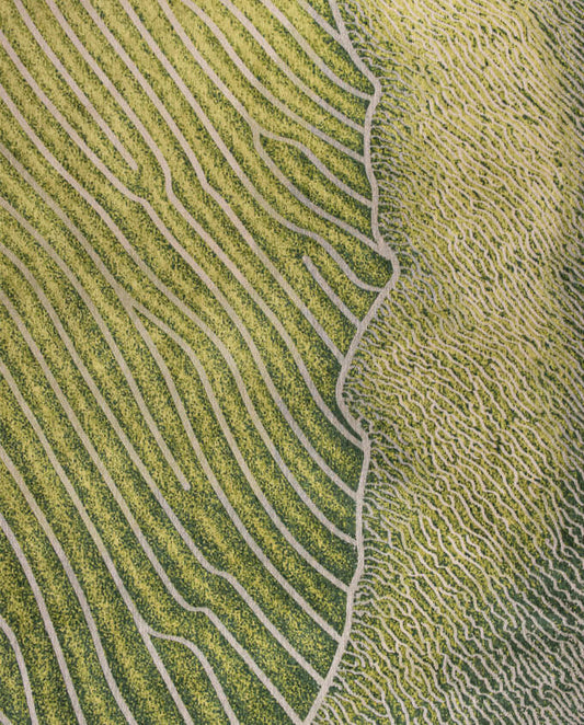 Louis De Poortere Shores 9133 gambia coast vintage szőnyeg - Leguan Exclusive - Louis De Poortere - 170 x 240 cm