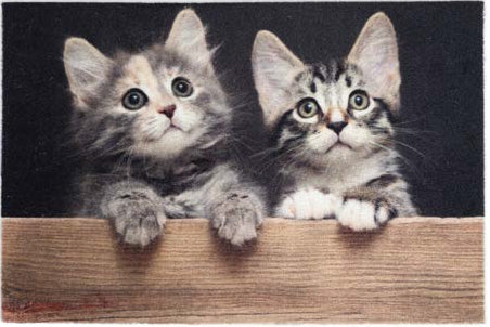 Deco Cats 1698 108999 Lábtörlő 40 × 60 cm