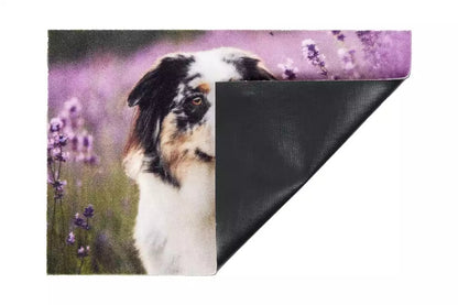 Deco Doggy 1698 105999 Lábtörlő 40 × 60 cm