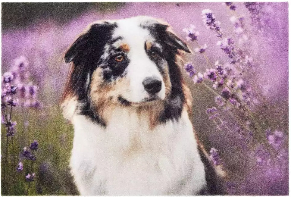 Deco Doggy 1698 105999 Lábtörlő 40 × 60 cm