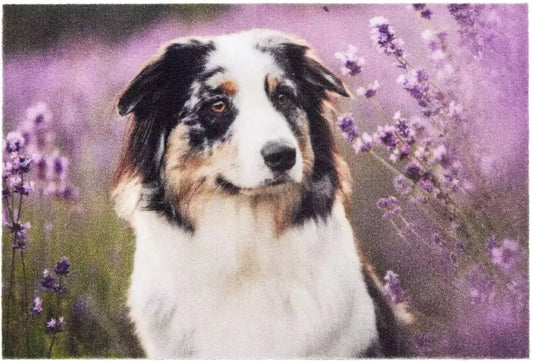 Deco Doggy 1698 105999 Lábtörlő 40 × 60 cm